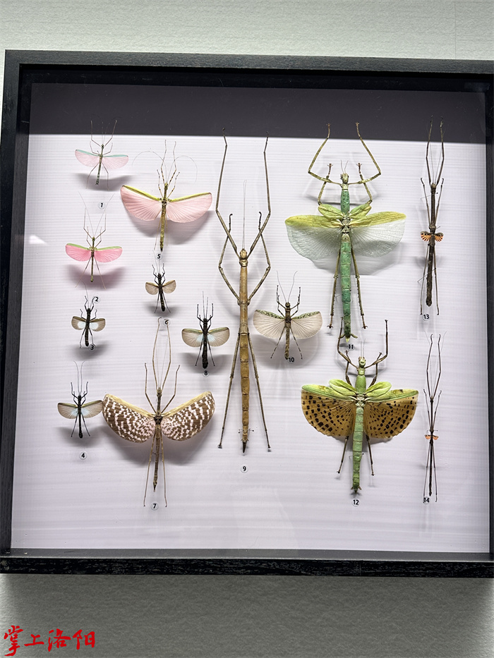 25195619_5711.jpg 25195619_5711.jpg