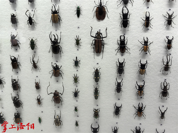 25195717_4531.jpg 25195717_4531.jpg