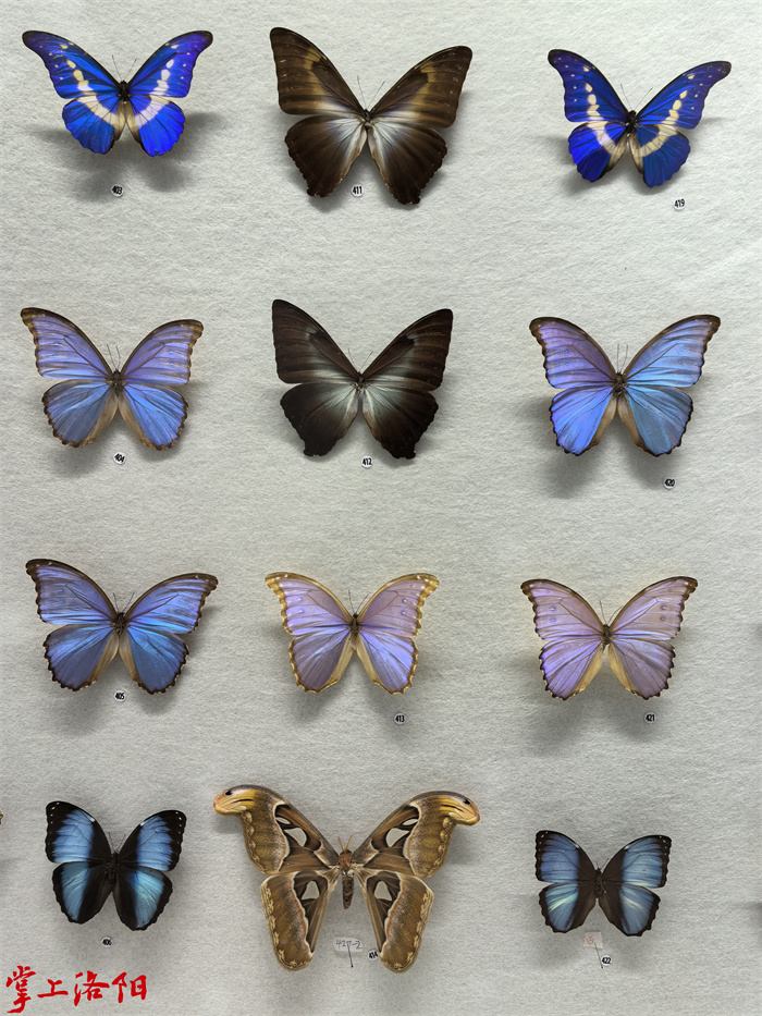 25195559_5755.jpg 25195559_5755.jpg