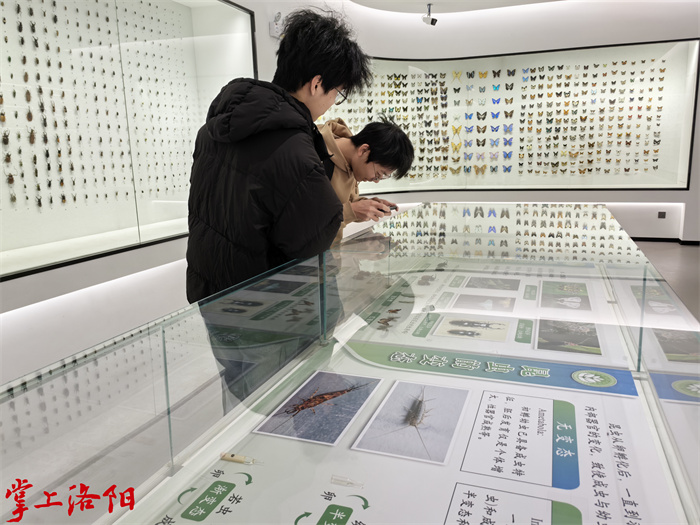 25195633_2092.jpg 25195633_2092.jpg