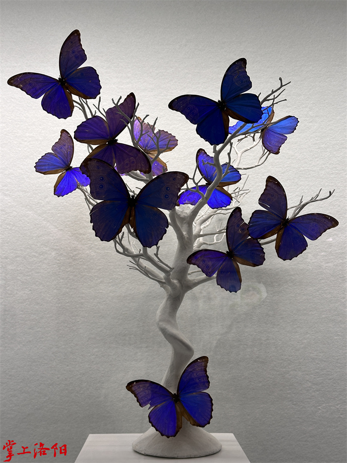 25195701_4480.jpg 25195701_4480.jpg