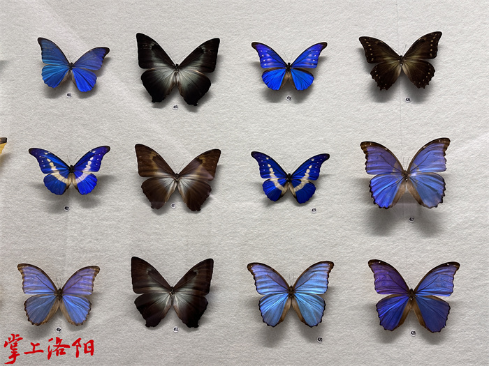 25195743_1860.jpg 25195743_1860.jpg