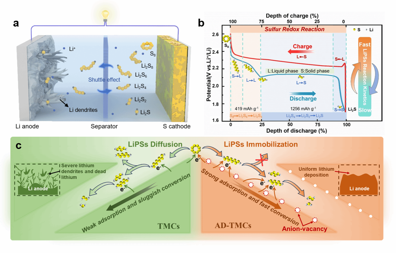 我校青年教师李浩杰博士在能源材料TOP期刊《Advanced Energy Materials》发表最新综述论文