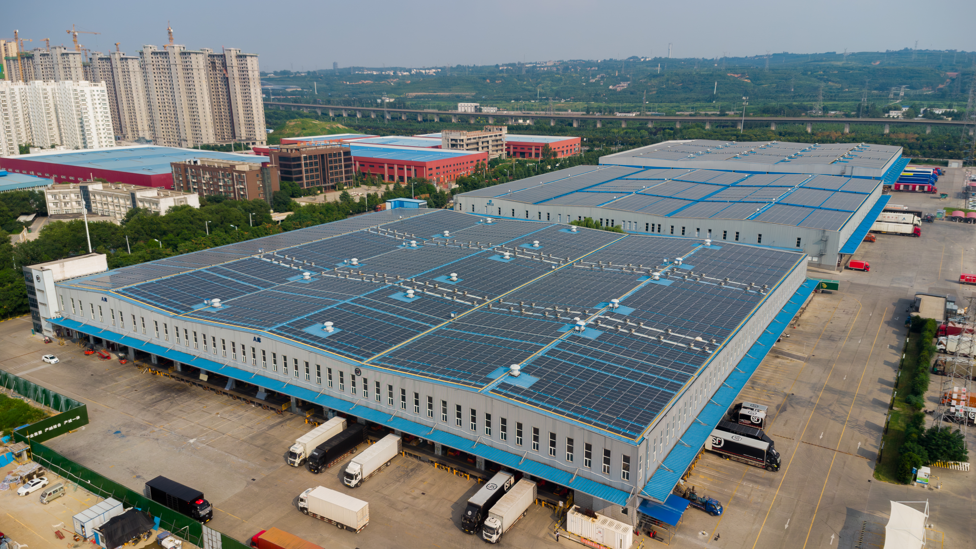 8358930477990036 _.jpg