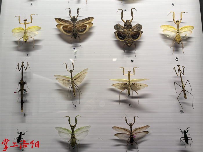 25195804_2262.jpg 25195804_2262.jpg